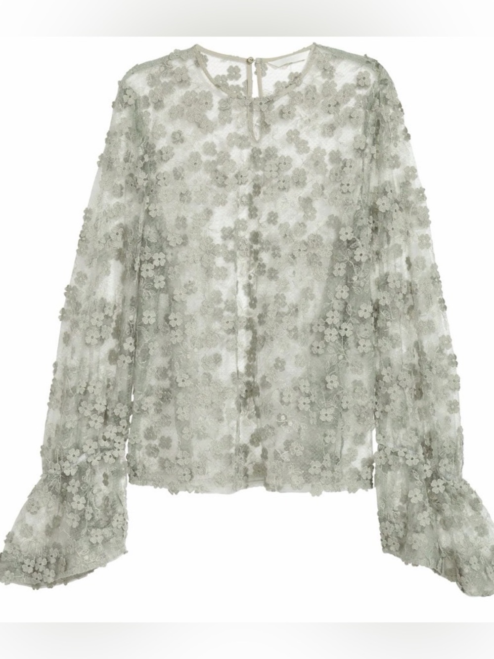 H&M Sheer Floral Lace Long-Sleeve Blouse in Light Sage- dusty green
